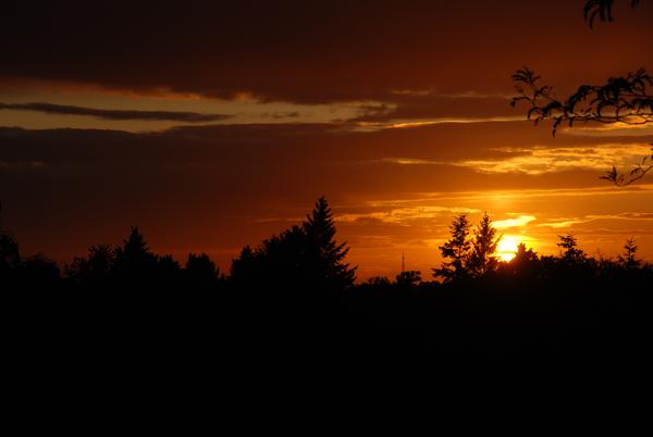 Sonnenuntergang-20070626_0266