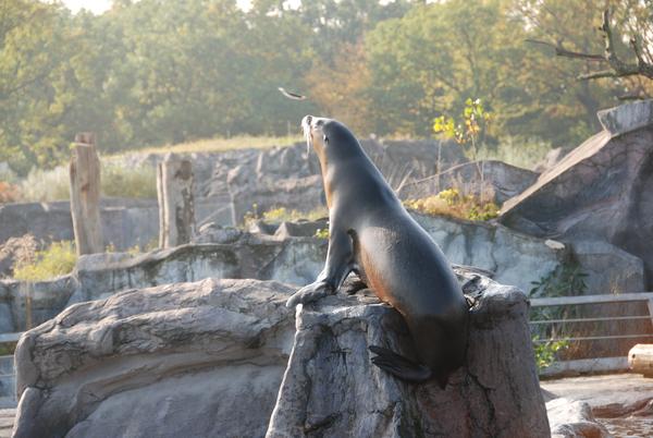 Zoo_Gelsenkirchen_216