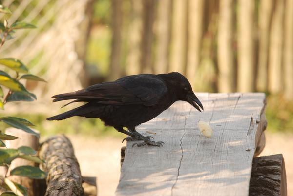 Zoo_Gelsenkirchen_372