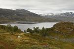 Norwegen_3789