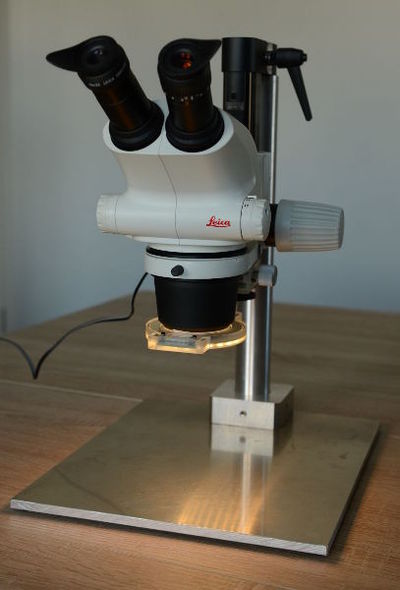 Ringlicht am Leica S6 Mikroskop